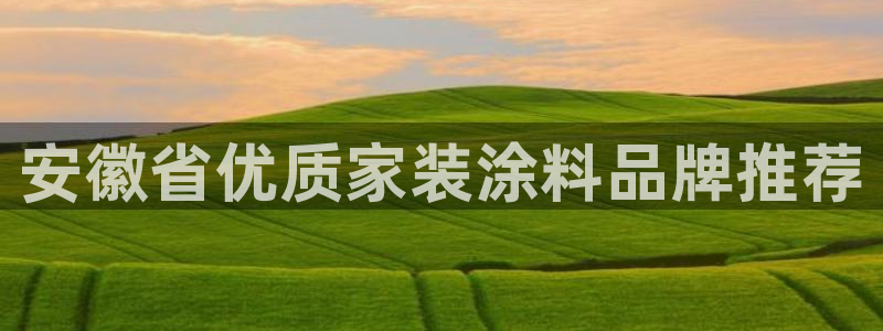和记官网[中国]官方网站：安徽省优质家装涂料品牌推荐