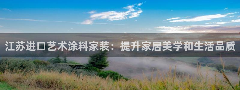 和记国际听：江苏进口艺术涂料家装：提升家居美学和生活品质