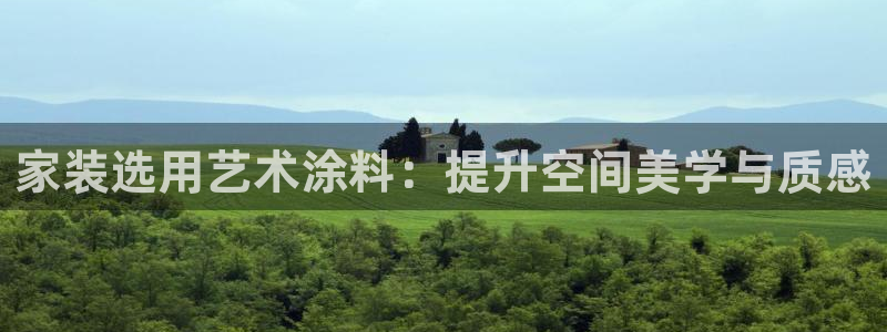 和记h88最新客户端下载：家装选用艺术涂料：提升空间美学与质感