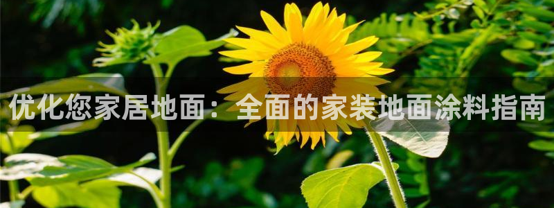 和记官方直营：优化您家居地面：全面的家装地面涂料指南