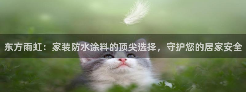 和记官方：东方雨虹：家装防水涂料的顶尖选择，守护您的居家安全