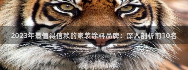和记旗舰厅：2023年最值得信赖的家装涂料品牌：深入剖析前10名
