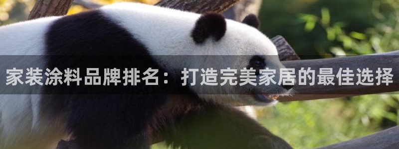和记app官网：家装涂料品牌排名：打造完美家居的最佳选择