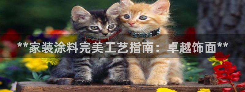 江苏和记餐饮有限公司：**家装涂料完美工艺指南：卓越饰面**