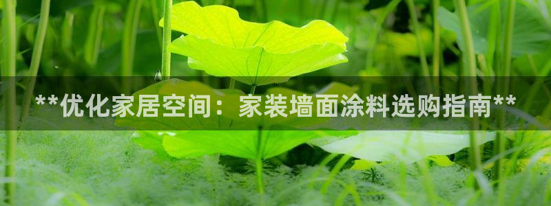 和记国际：**优化家居空间：家装墙面涂料选购指南**