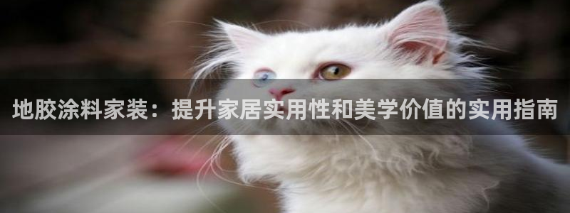 和记H88：地胶涂料家装：提升家居实用性和美学价值的实用指南