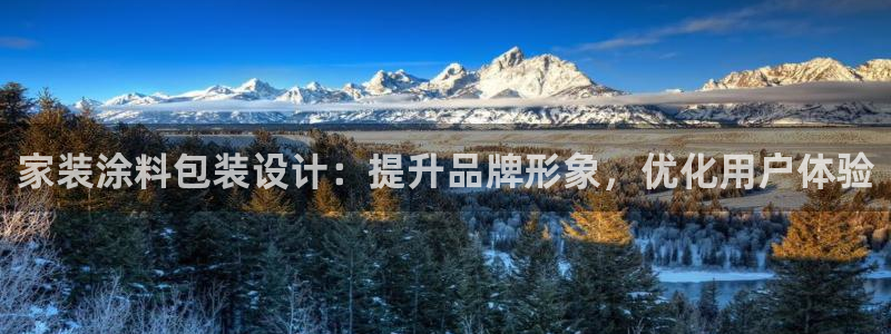 和记 首页：家装涂料包装设计：提升品牌形象，优化用户体验