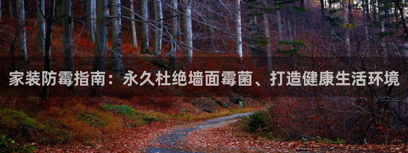和记ag登录：家装防霉指南：永久杜绝墙面霉菌、打造健康生活环境