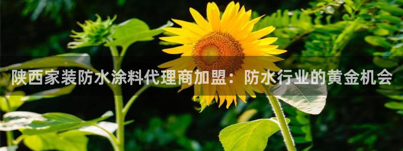 和记ag旗舰厅