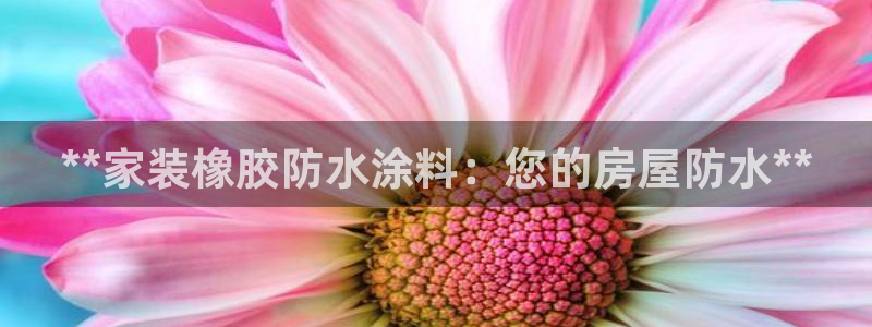 和记ag旗舰国际