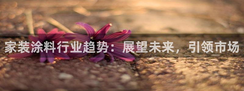 ag和记app：家装涂料行业趋势：展望未来，引领市场