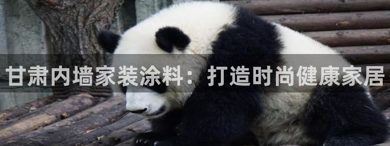 和记paging：甘肃内墙家装涂料：打造时尚健康家居