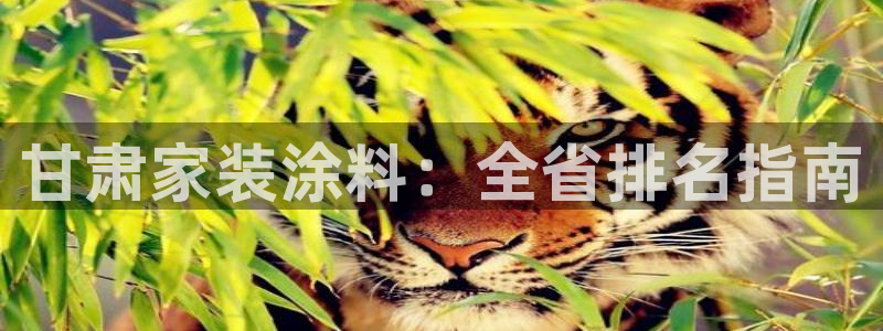 和记官方网站