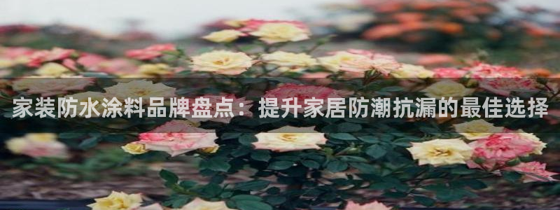 和记登陆：家装防水涂料品牌盘点：提升家居防潮抗漏的最佳选择