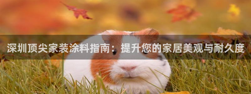 和记官方网站：深圳顶尖家装涂料指南：提升您的家居美观与耐久度
