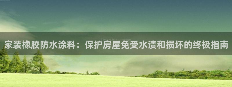 和记平台官网：家装橡胶防水涂料：保护房屋免受水渍和损坏的终极指南