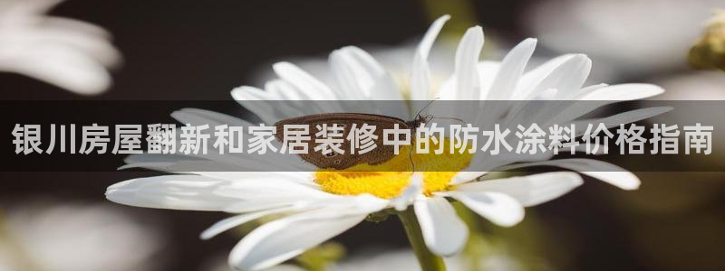 和记ag