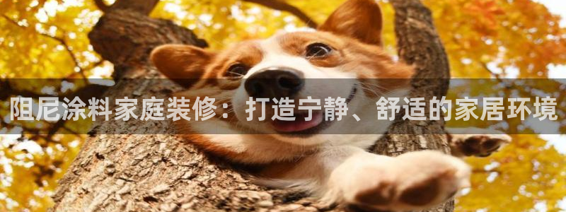 和记电业集团：阻尼涂料家庭装修：打造宁静、舒适的家居环境