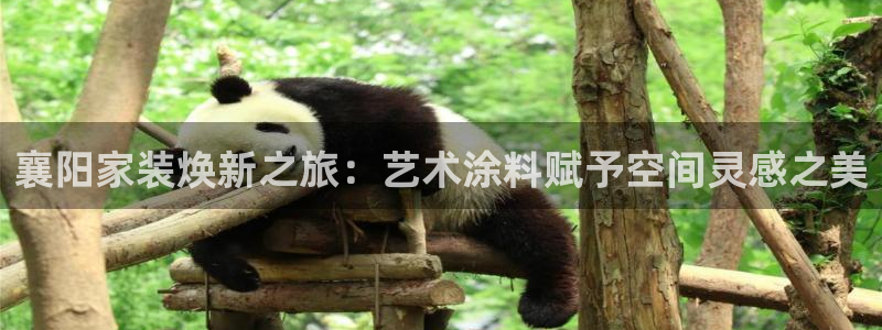 和记国际开户网站：襄阳家装焕新之旅：艺术涂料赋予空间灵感之美