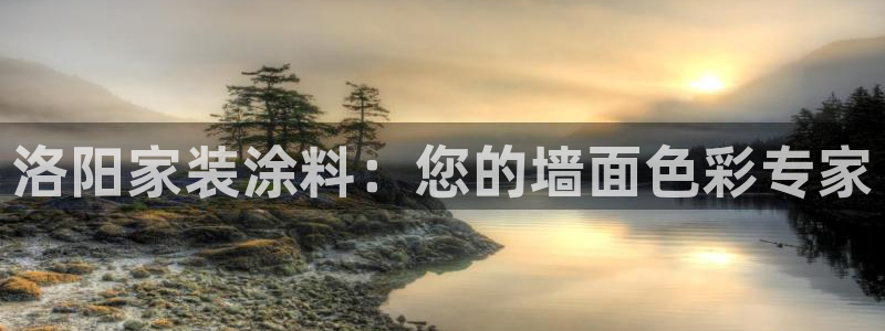 和记国际