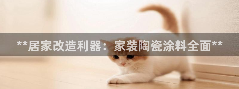 和记广告女主角：**居家改造利器：家装陶瓷涂料全面**