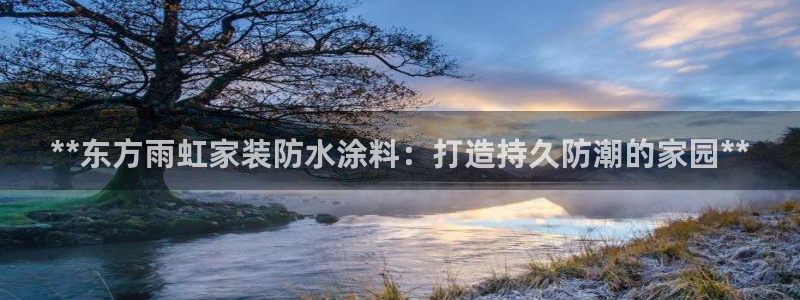 和记注册有什么送的：**东方雨虹家装防水涂料：打造持久防潮的家园**