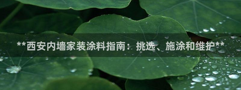 和记最新官方网址：**西安内墙家装涂料指南：挑选、施涂和维护**