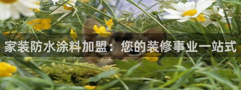 和记官网登陆
