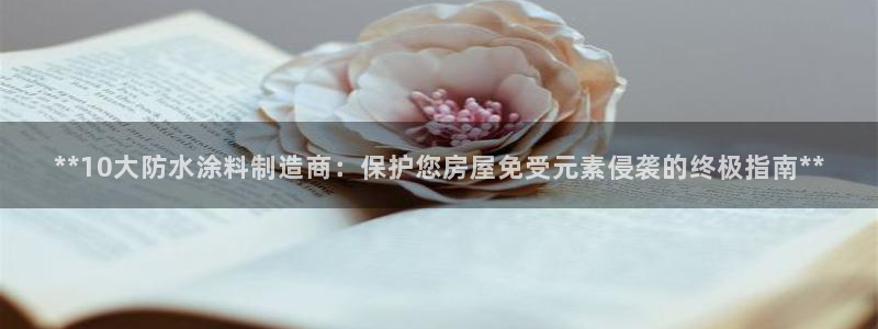 和记广告女主角