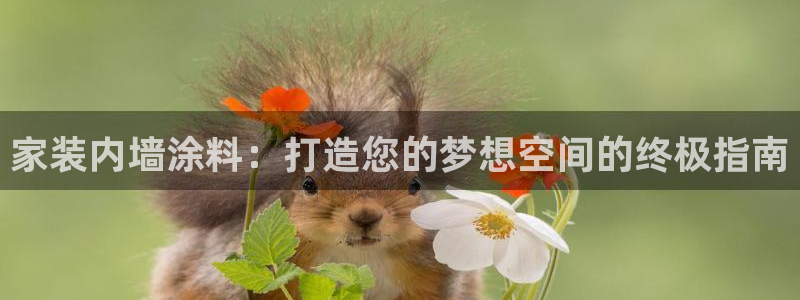 和记ag旗舰：家装内墙涂料：打造您的梦想空间的终极指南