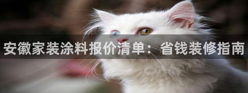 上海和记餐饮：安徽家装涂料报价清单：省钱装修指南