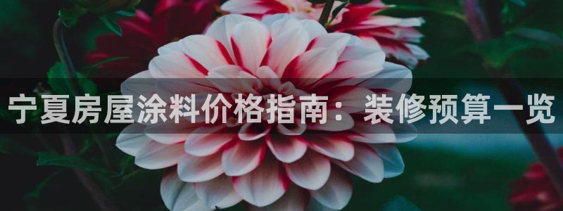 和记注册有什么送的