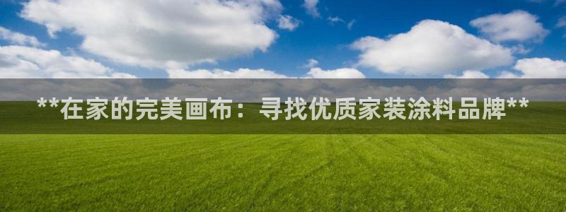 和记国际：**在家的完美画布：寻找优质家装涂料品牌**