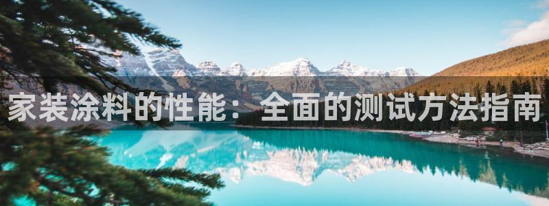 上海和记餐饮：家装涂料的性能：全面的测试方法指南