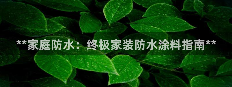 和记平台