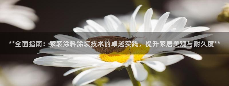 和记国际电讯市值：**全面指南：家装涂料涂装技术的卓越实践，提升家居美观与耐久度**