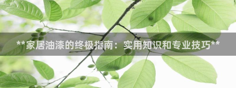 和记国际客服
