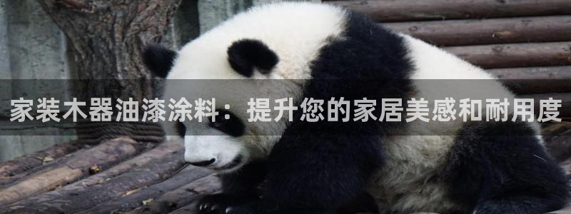 和记h88游戏