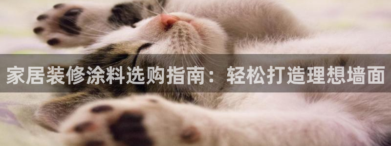 和记官网