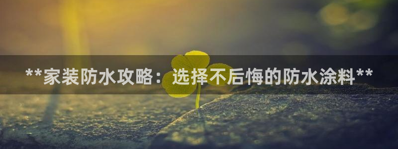 和记AG网站：**家装防水攻略：选择不后悔的防水涂料**