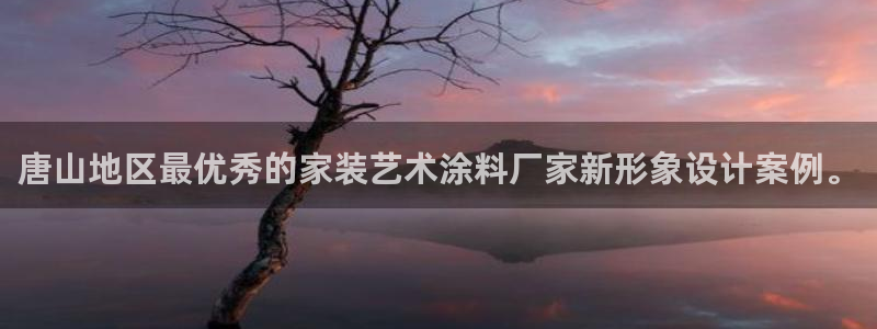 和记h8：唐山地区最优秀的家装艺术涂料厂家新形象设计案例。