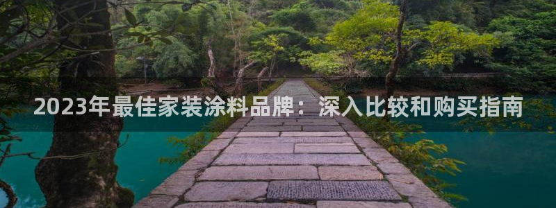 和记官方直营：2023年最佳家装涂料品牌：深入比较和购买指南