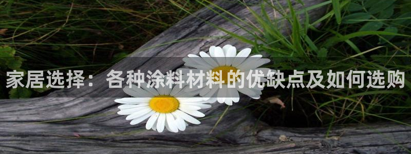 和记hj：家居选择：各种涂料材料的优缺点及如何选购