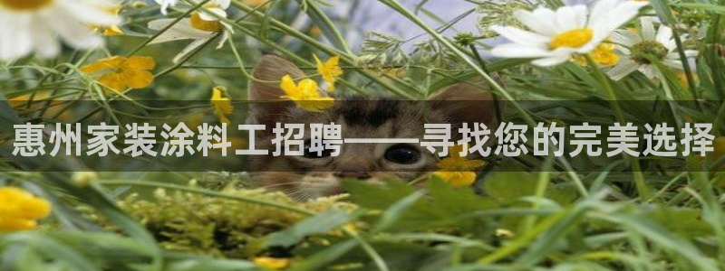 和记官方：惠州家装涂料工招聘——寻找您的完美选择