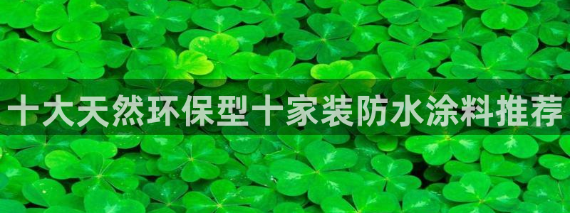 江苏和记数码科技有限公司：十大天然环保型十家装防水涂料推荐