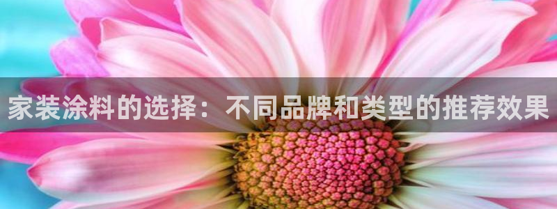 和记官方网址：家装涂料的选择：不同品牌和类型的推荐效果