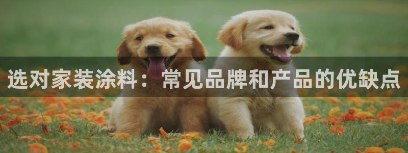 深圳和记科技有限公司