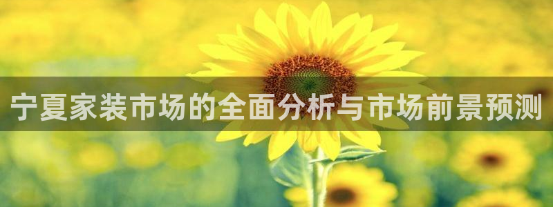 和记官方直营注册：宁夏家装市场的全面分析与市场前景预测