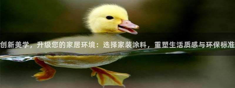 和记h8