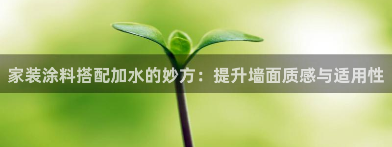 和记5g电讯：家装涂料搭配加水的妙方：提升墙面质感与适用性